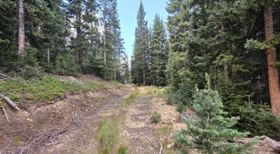 Ouray Colorado -  Red Mountain Mining District- 10 Acres Treed Mountain land