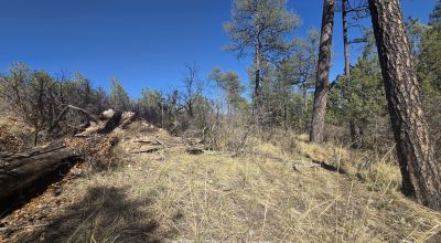 .5 Acres Water on Road, Power Nearby, Timberon NM