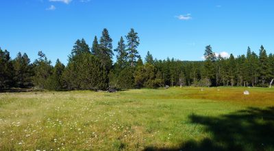 Unique and Rare Parcel Near Bly Mountain Pass - Borders  Pond - Meadows