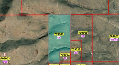 78 acres in the Mountains NW of Crescent Valley - Remote - Peace and Quiet