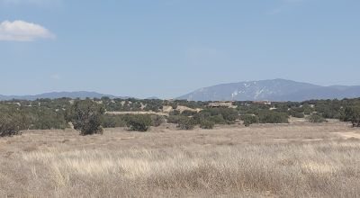 Surrounded by Santa Fe National Forest - Near Las Campanas and Golf Course - 8 Miles from Santa Fe
