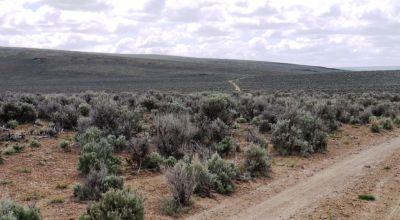 40 acres Near Massacre Lake - Extreme  Remoteness - Borders BLM lands