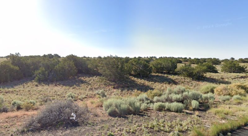 Own peace with a powerful future in Apache County, AZ!