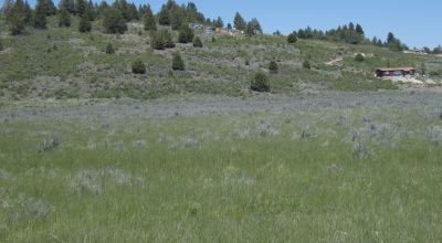 Oregon land * Sprague River Valley
