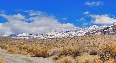 160 Acres in the Sheep Creek Range Mountains of Central Nevada - 4wd access - Remote - Privacy