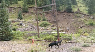 Historic Alpine Loop Southern Colorado - Animas River