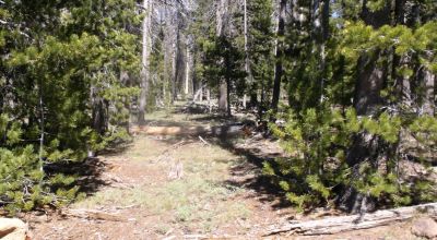South Central Oregon Mountain Lakes Area Property - Great for Camping