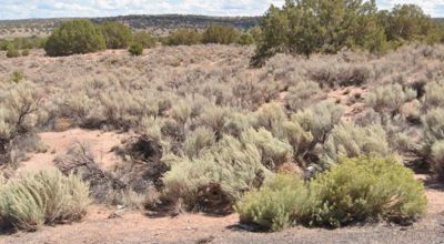 This Valentine’s, Date the Desert 🌵 1.16 Acres in Apache, AZ – Investor & Off-Grid Ready