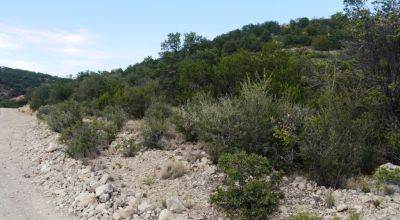 RARE! Huge 5+ acre parcel - Sacramento Mountains - Backs to Ft. Bliss Reserve