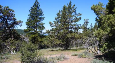 Heavily Treed * Huge Views To The West