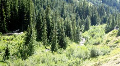 Scenic Pristine Colorado Mountain land - Henson Creek flows thru property