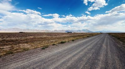 20 Acres in South Crescent Valley - Great Road Access - No Restrictions - RV's Allowed - Surveyed