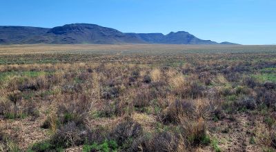 30 acres East of Manassa Colorado - No restrictions