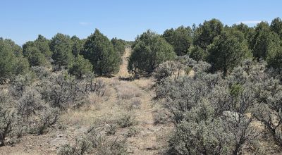 Taos County - Tres Piedras New Mexico 1 acre CAMP, RV, BUILD