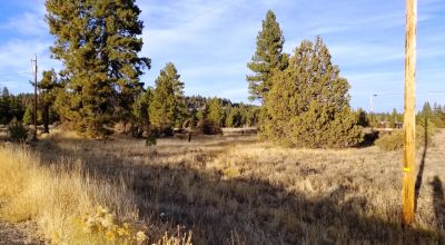 13 Town Lots in Sprague River - 7 lots together and group of 6 lots together