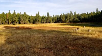 Unique and Rare Parcel Near Bly Mountain Pass - Borders  Pond - Meadows