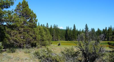 Unique and Rare Parcel Near Bly Mountain Pass - Borders  Pond - Meadows