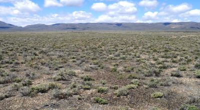 Paved Hwy 306  Frontage Crescent Valley Nevada Camp RV Build
