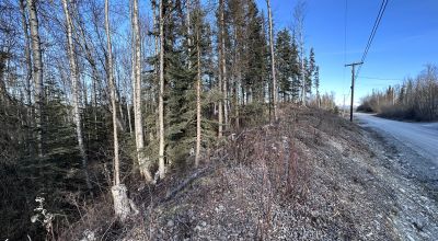 Residential Treed Parcel - Western Outskirts Wasilla Alaska - Backs to Open Space