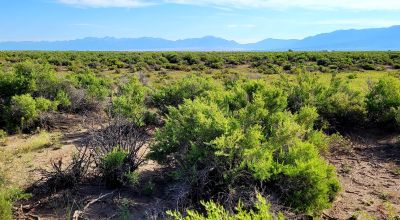 San Luis Valley Southern Colorado  -  Star Filled nights - Vibrant blue skies