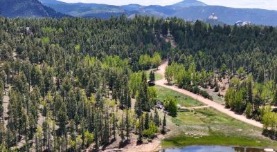 Florissant Colorado Land with Wildlife Views