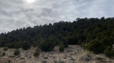 Rare! Bureau of Indian Affairs Inholding 40 acres - New Mexico