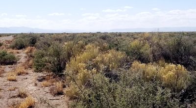 San Luis Valley Scenic Mountain Views - County Road Access