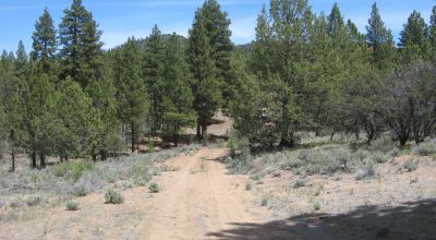 3 adjoining treed lots on cul de sac *