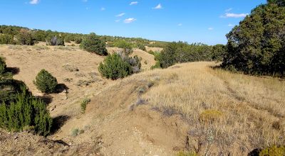 Treed Parcel - Arroyo at Back Property Line - Views - Near 2 Lakes