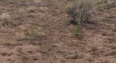 30 acre Central New Mexico Property Windmill Ranch Excellent Roads. Power at Road