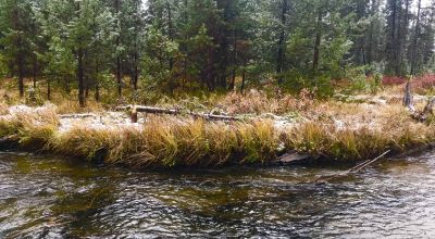 Pristine forest land with Crescent Creek - Trees - Meadows