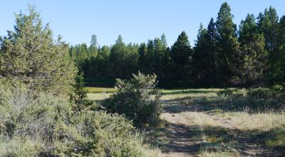 Unique and Rare Parcel Near Bly Mountain Pass - Borders  Pond - Meadows