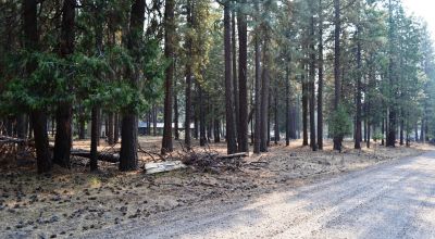 Keno Oregon Heavily Wooded Building Lot - Over One Acre - Power