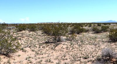 2 Adjoining Lots - Over 2 Acres Total - NW of Dateland AZ