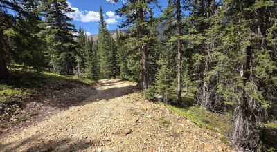 Ouray Colorado -  Red Mountain Mining District- 10 Acres Treed Mountain land