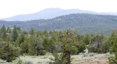 20 acres Oregon Forested Mountain land  near Lakeview & Drews Gap Summit