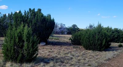 Treed Parcel - Arroyo at Back Property Line - Views - Near 2 Lakes