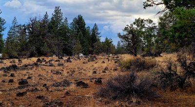Level Building Lot Oregon - Camp - RV - Build