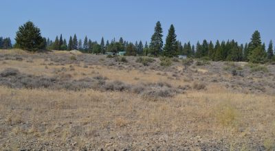 5 Adjacent Lots on Fifth Street in Sprague River Oregon
