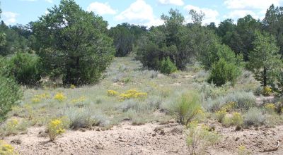 Rolling Hills Near mountains and Government lands Western New Mexico