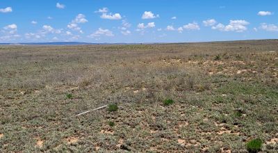 Bring Your Horses - Nearly Three Acres - Just East of Albuquerque - Large Acreage Properties