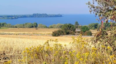 Huge Views - Bowl type setting - End of cul-de-sac near Henzel Park & Agency Lake
