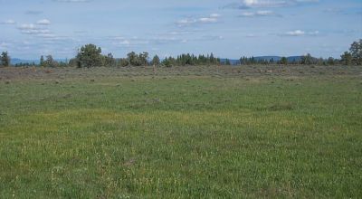 4.27 acres Remote Oregon land * Star filled night skies * Camp * RV * Build