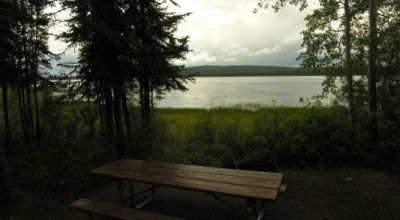 Deadman Lake Alaska - Heavily Treed