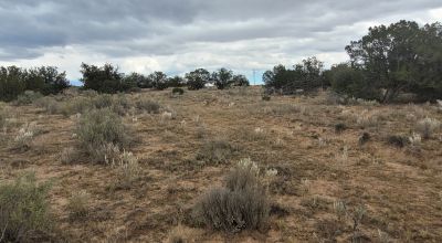 30 acre Central New Mexico Property Windmill Ranch Excellent Roads. Power at Road