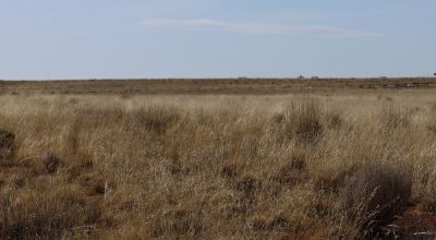 1.25 Acre Vacant Lot Located in Sun Valley, AZ for starts at $199 per month