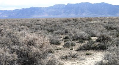 2 adjoining 80 acre parcels * Dolly Varden