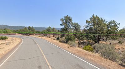 20 acres between Pittville & Nubeiber California - Trees - Old Mobile