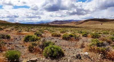 Scenic 20 Acres Near Lahontan Dam & Reservoir