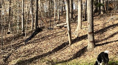 Lake Hartwell 1/2 acre Lakeside Build Lots